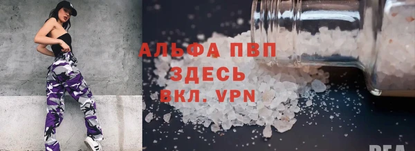 прущие грибы Лабытнанги