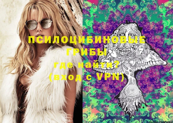 mdpv Магадан