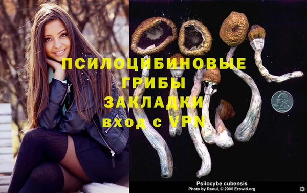 прущие грибы Лабытнанги
