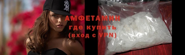 прущие грибы Лабытнанги