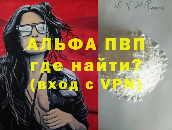 прущие грибы Лабытнанги