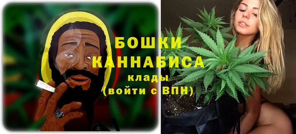 гашик Кулебаки