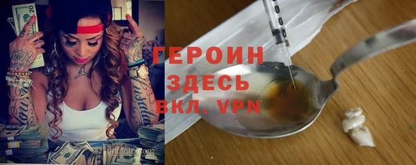 прущие грибы Лабытнанги
