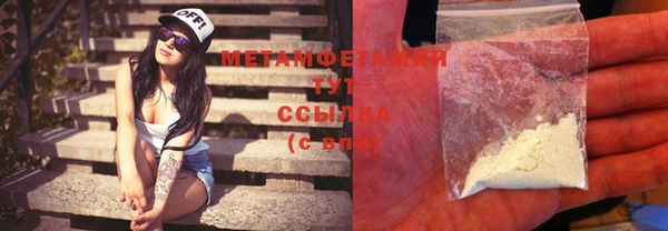 прущие грибы Лабытнанги