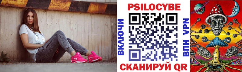закладка  Изобильный  Галлюциногенные грибы Psilocybe 